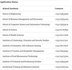 check Dedan Kimathi University application status