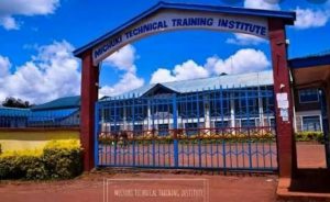 Read more about the article Michuki Technical Training Institute