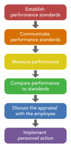 Read more about the article Performance Appraisal Process
