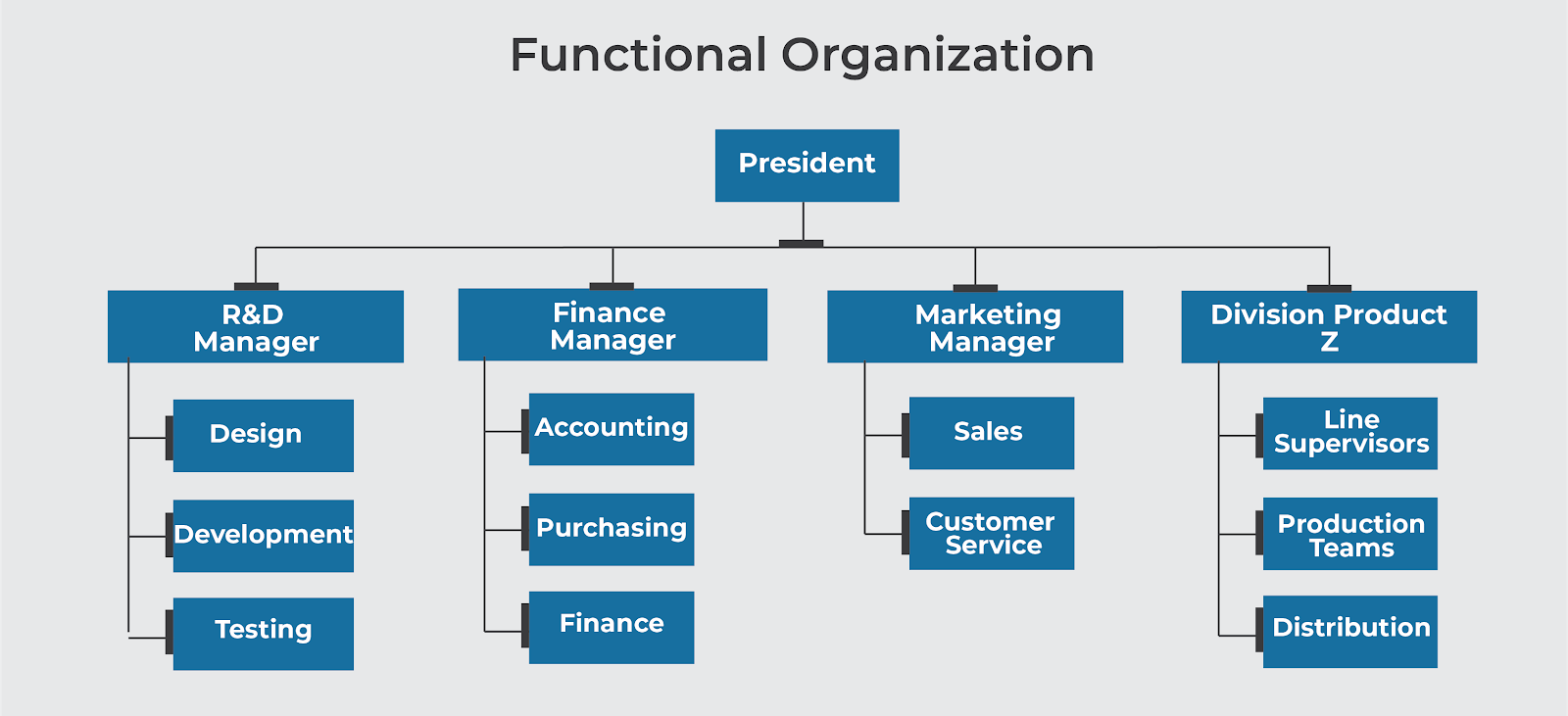 walmart functional organizational structure