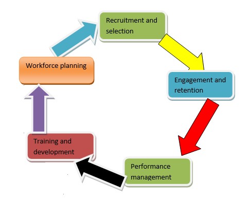 Human Resource Cycle