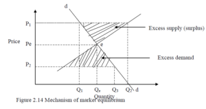 Market Equilibrium and price determination